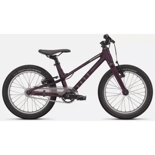 spez-ns-23-2804-138