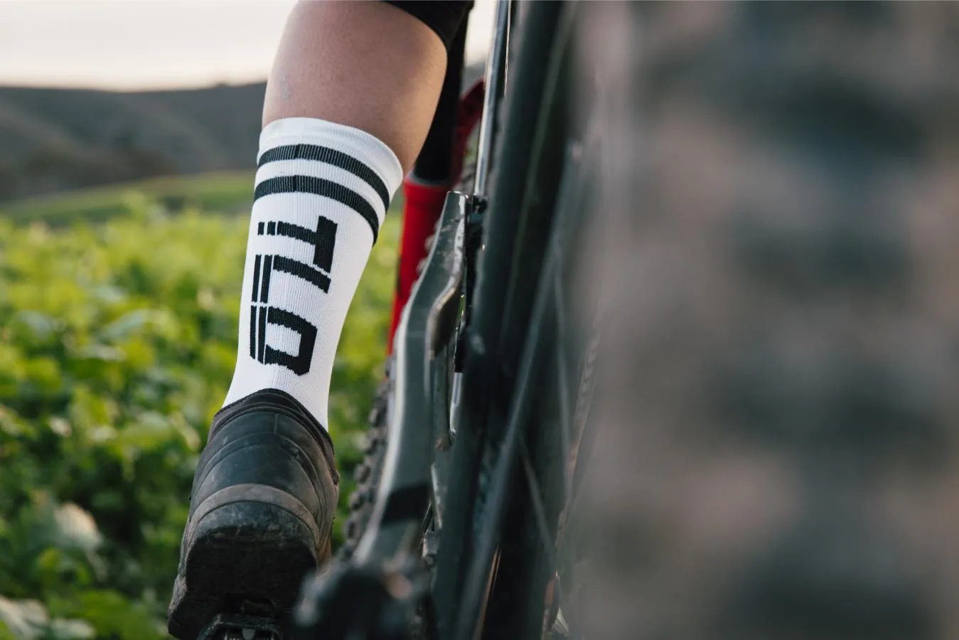 Шкарпетки TLD MENS PERFORMANCE SOCKS – Signature - СпортЦех СпортЦех - Шкарпетки TLD MENS PERFORMANCE SOCKS – Signature - СпортЦех