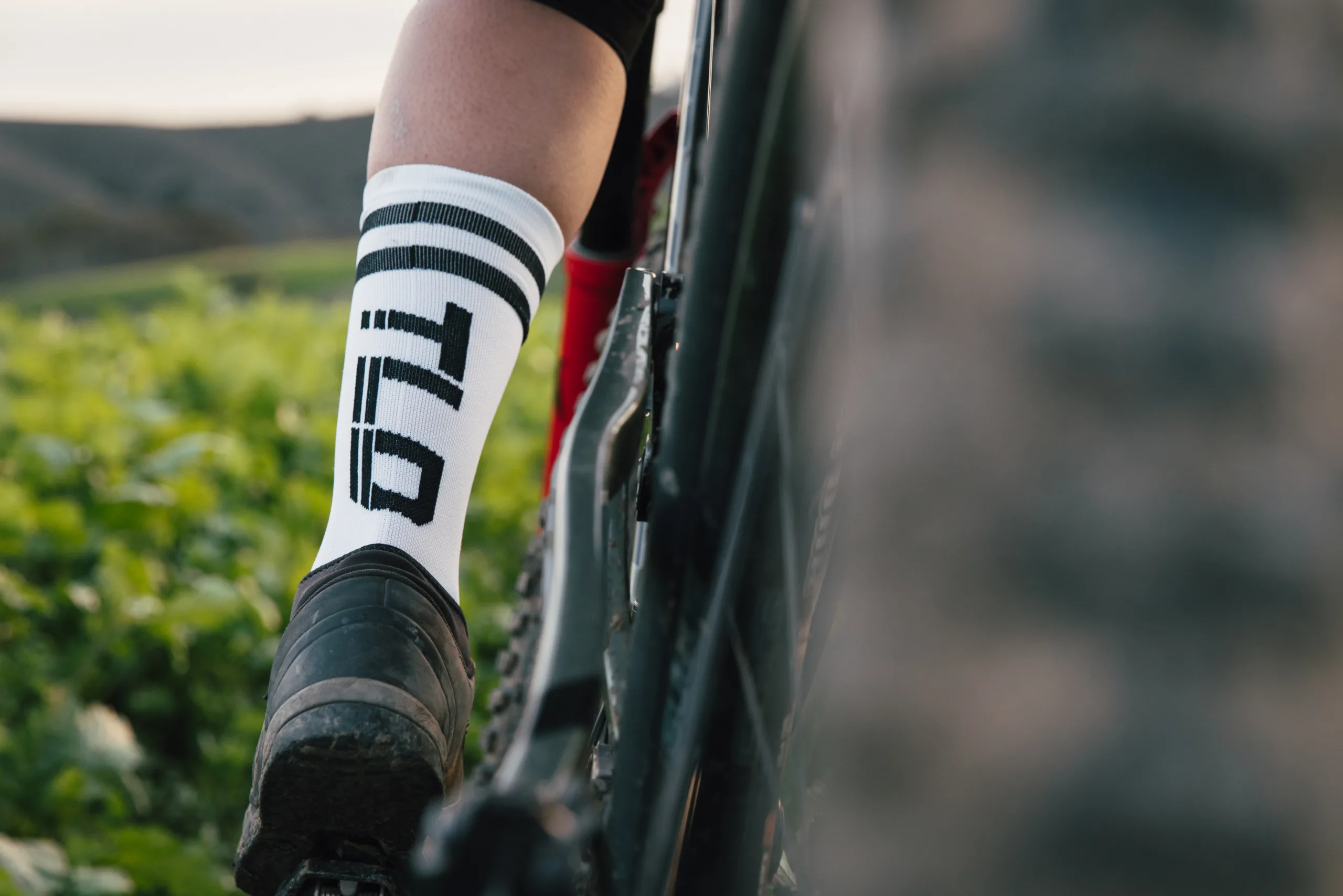Шкарпетки TLD MENS PERFORMANCE SOCKS – PEACE & WHEELIES - СпортЦех СпортЦех - Шкарпетки TLD MENS PERFORMANCE SOCKS – PEACE & WHEELIES - СпортЦех